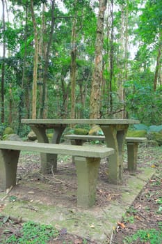 Picnic place in forest