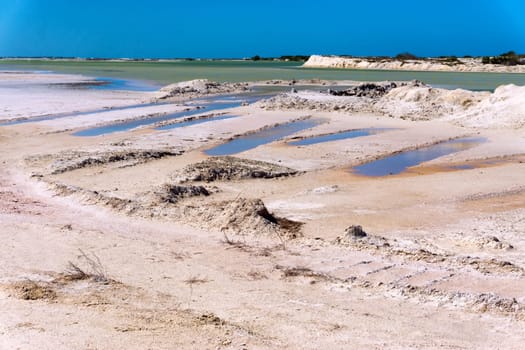 Landscape of dry dirt and pools of water in Rio Lagartos, Mexico