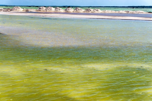 Green water landscape near Rio Lagartos, Mexico with flamingos in the distance
