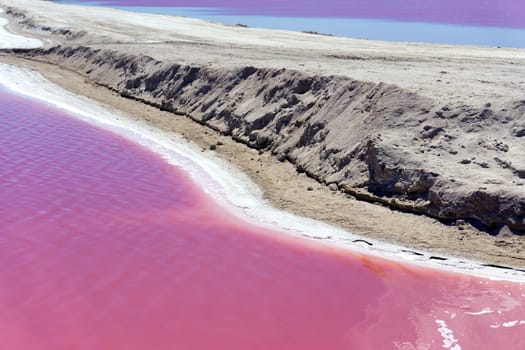 View of pink colored water in Rio Lagartos, Mexico