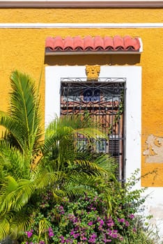 Yellow colonial building with lush green foliage in Campeche, Mexico