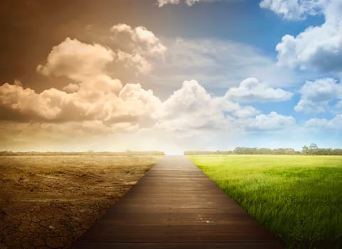 Landscape of wooden pathway with the changing environment. Concept of climate change.