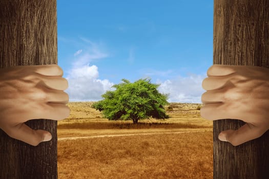 Two hands opening wooden door with tree on the changing environment. Climate change concept.