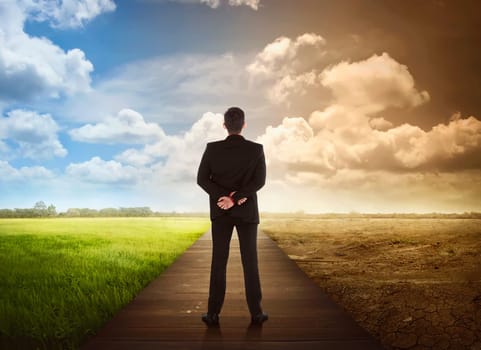 Rear view of business man standing between the changing environment. Concept of climate change.