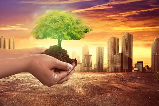 Hand holding tree plant on soil with climate change background