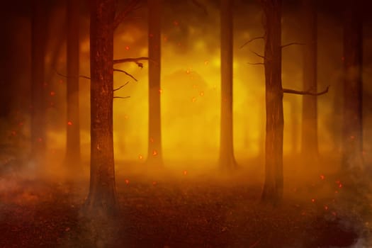 Temperature rise impact to the fires in the forest. Climate change concept