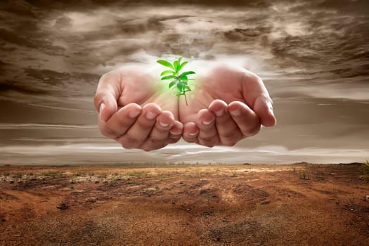 Hand from sky holding plant on soil on dry land. Climate change concept.