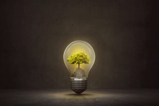 Small tree inside light bulb on the dark room background