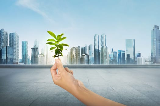 Green plant on human hand on modern city background