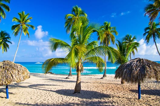 Tropical beach with sea wave on the sand and palm trees