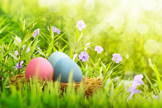 Easter eggs on basket hiding under violet flower on the green fields