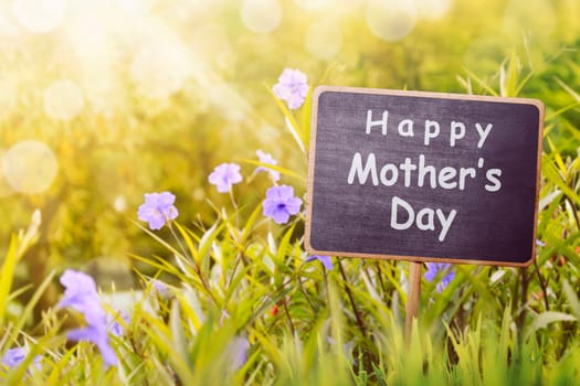 Happy Mother's day greeting on wooden sign in garden