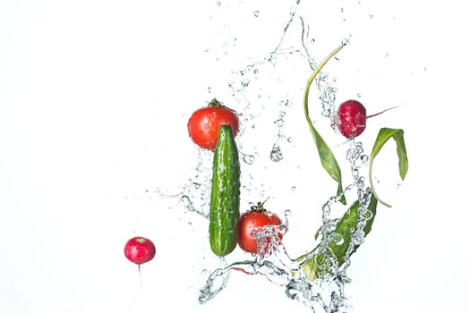 The fresh tomatos, cucumbers, radish in spray of water on white.