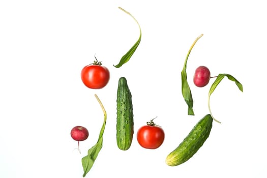 The fresh tomatos, cucumbers, radish in spray of water on white.