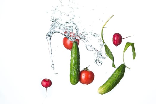 The fresh tomatos, cucumbers, radish in spray of water on white.