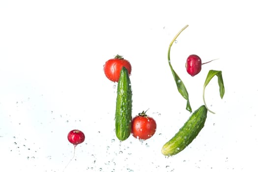 The fresh tomatos, cucumbers, radish in spray of water on white.