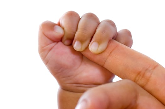 Baby hold mother's finger on white background