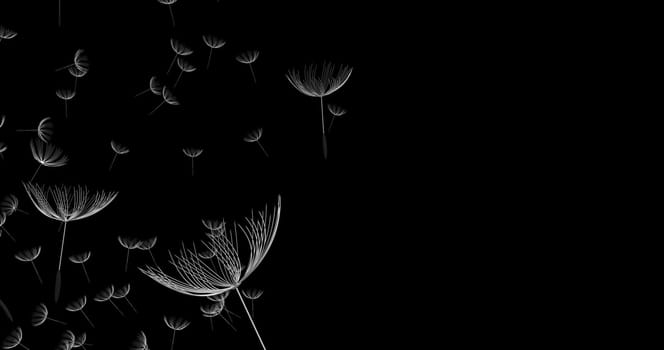 The 3d rendering of dandelion blowing silhouette. Flying blow dandel