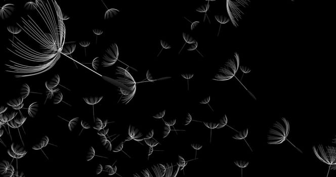 The 3d rendering of dandelion blowing silhouette. Flying blow dandel