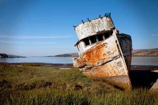 This is the famous Point Reyes scooner that was beached many years ago.