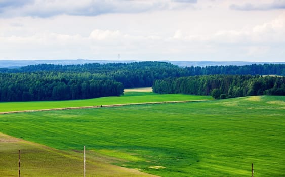 Summer landscape with green fields and forest. Minsk region, Belarus.