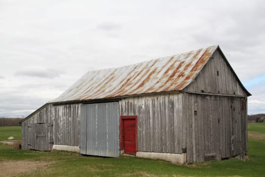Old abandoned wood barn with red door and rusted metal roof
