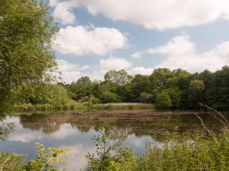 countryside water with reeds trees and sky