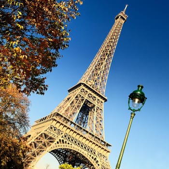 famous Eiffel Tower and trees in Paris, France