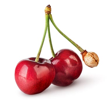 Pair of sweet cherries with bone isolated on white background