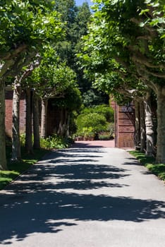 This photo was taken at a formal botanical garden near San Francisco, California. Spring had arrived, and flowers are in bloom. This image features a gravel path leading to a formal garden.