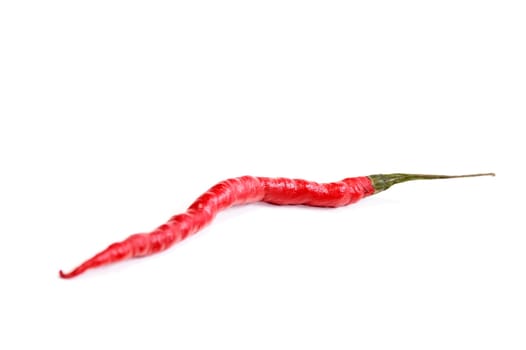 Red Hot Chili Pepper on White Background