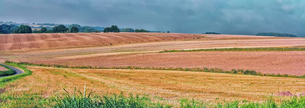 Landscape panorama of various mowed grain fields..