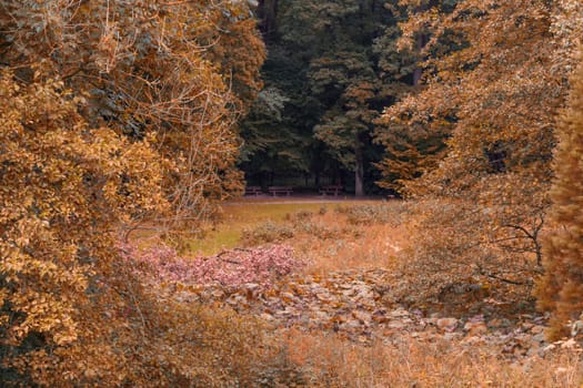 Three old benches in a forest clearing..