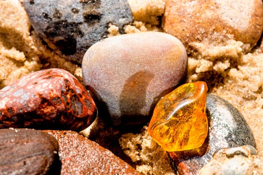 Amber on the Baltic Sea beach.