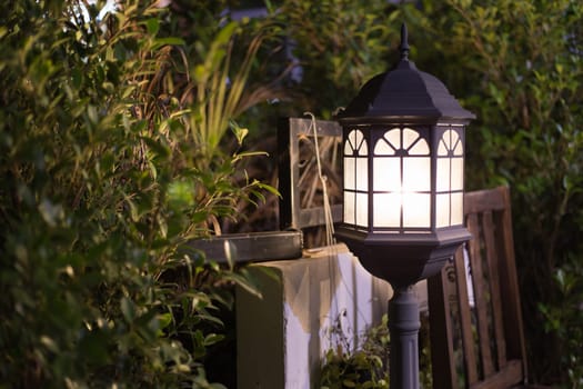 Street lamp. Street lantern with tree in the park