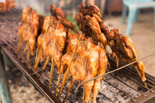 Grill chicken in bamboo stick , street food of Thailand.