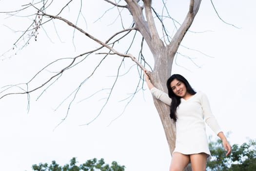 Asian woman and A bare tree with branches in corn field in evening light.