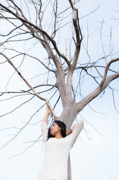 Asian woman and A bare tree with branches in corn field in evening light.