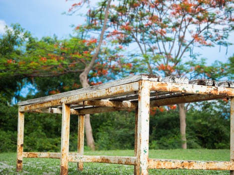 Old wooden bench in the garden or the park, outdoor
