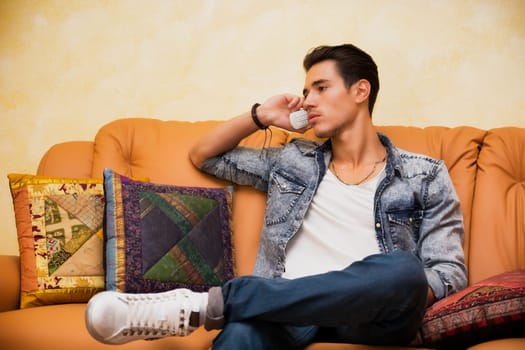 Handsome young man talking on telephone at home sitting on sofa