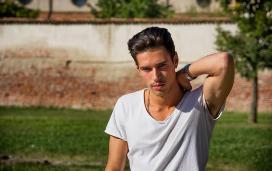 Handsome young man standing in white t-shirt, with lawn and old wall behind him, looking at camera