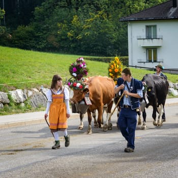 Charmey, Fribourg, Switzerland - 26 September 2015 : Farmers with a herd of cows on the annual transhumance at Charmey near Gruyeres, Fribourg zone on the Swiss alps