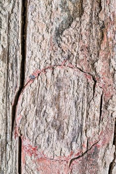 old board