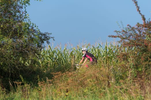DEVENTER, NETHERLANDS - AUGUST 27, 2016: Unknown female cyclist on a dike along a corn field