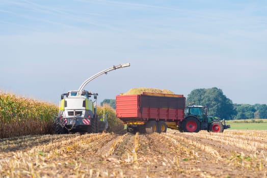 corn being harvested at the end of a long summer