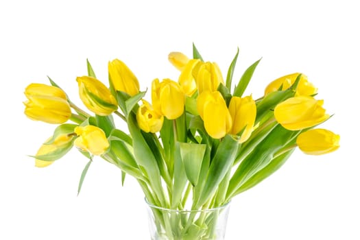 Beautiful yellow tulip bouquet on a white background