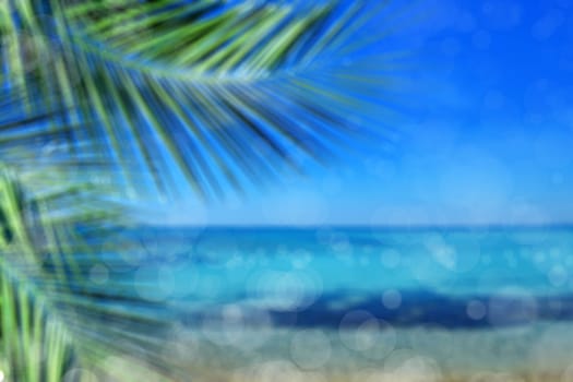 background image of palm tree and beach over sunny sky