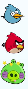 angry birds bue red bird bird red green pig illustration
