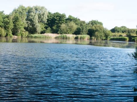 lake surface top with trees and sky outside wivenhoe essex england uk