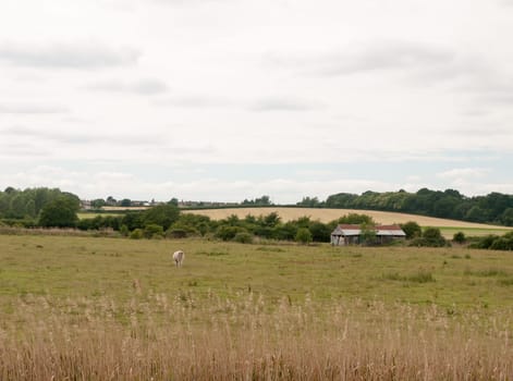 inland country scene in harwich felixstowe essex uk england no people farm